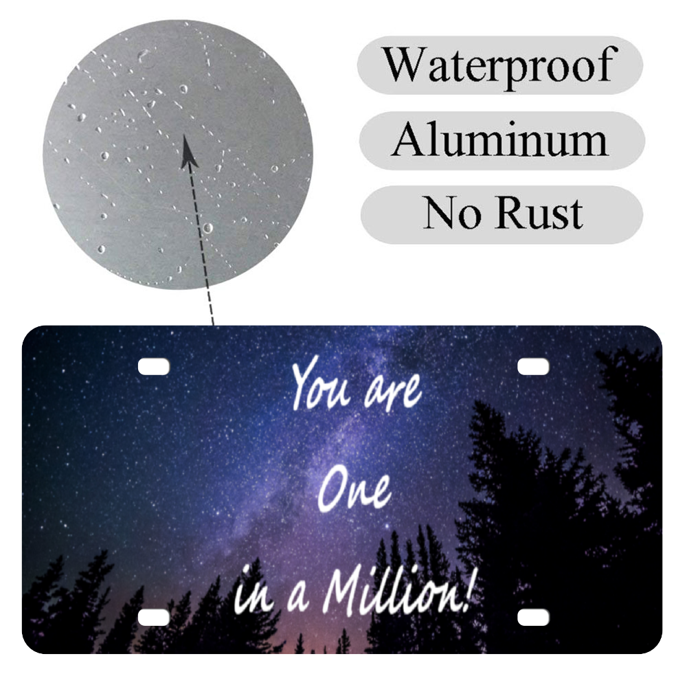 You Are One in a Million - Custom Aluminum Automotive License Plate 12" x 6"