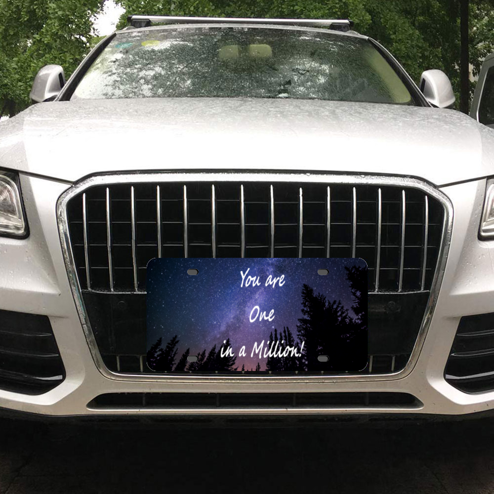 You Are One in a Million - Custom Aluminum Automotive License Plate 12" x 6"